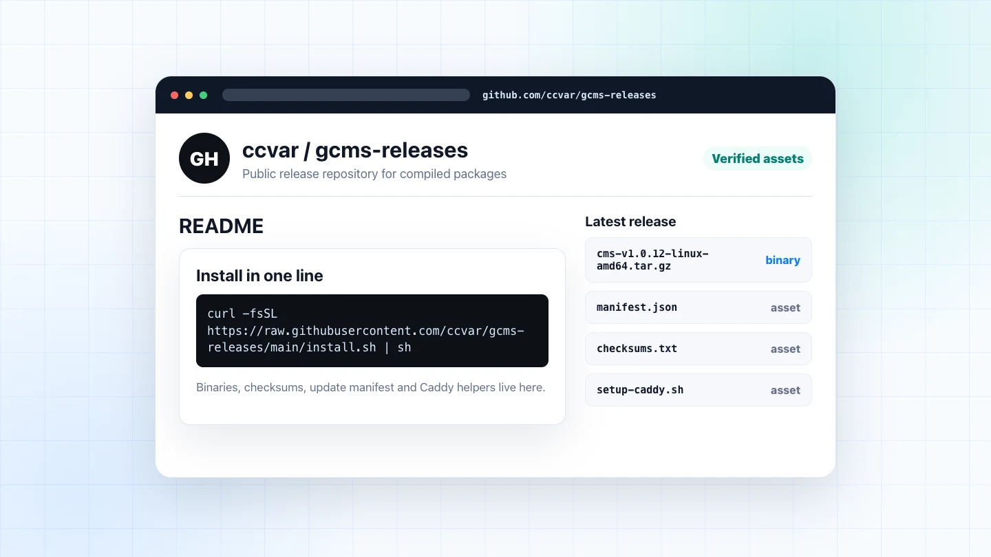 Release Repository